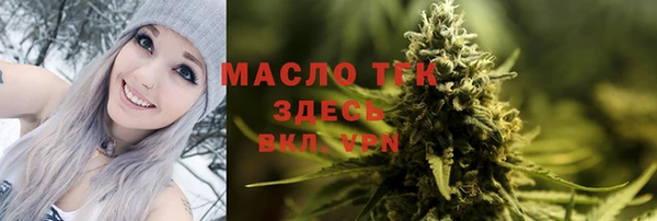 гашик Сясьстрой