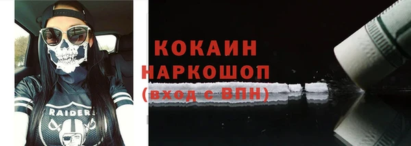 гашик Сясьстрой